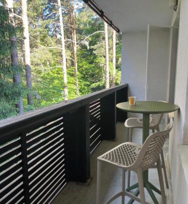 Samokov Apartment | Chamkoria Forest View by Mixi