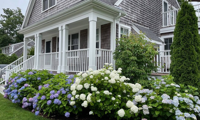 Chatham House | Charming 3 bedroom 2.5 bath sleeps 6 - Walk to Town & Oyster Pond