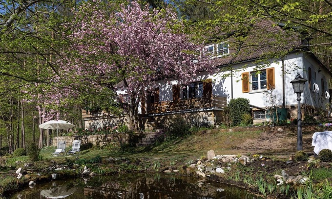 Weissenbrunn Apartment | Charming Apartment in Weißenbrunn near Forest