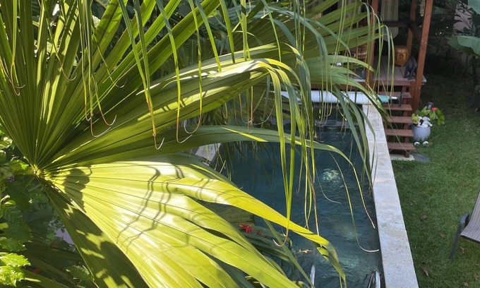 Saint-Paul House | Charming bungalow, ideally located for exploring the Orangery trails