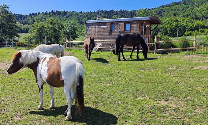 Hermitage-Tournonais-Herbasse-Pays de Saint-Felicien Cabin | Charming caravan in the Ardéchoise hills