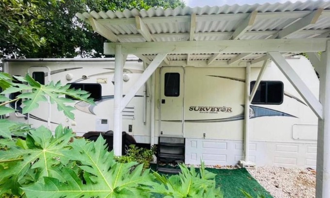 Homestead House | Charming Caravan in the Little Jungle by Legnalife, Homestead with WiFi, AC