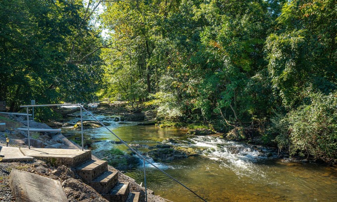 Cosby Cottage | Charming Cottage Right On Cosby Creek! Enjoy the waterfall from the porch!