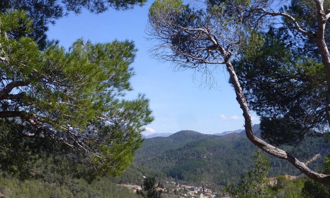 Sias House | Charming little Provencal country house in a quiet location with private pool