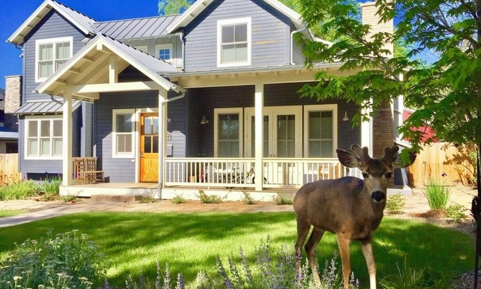 Newlands Apartment | Charming Private Guest Suite located near downtown, shopping and hiking