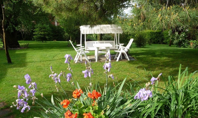 Cortona Villa | Charming small villa near Cortona,garden,olive grove.A/C.Fiber Wifi -LA COLONICA