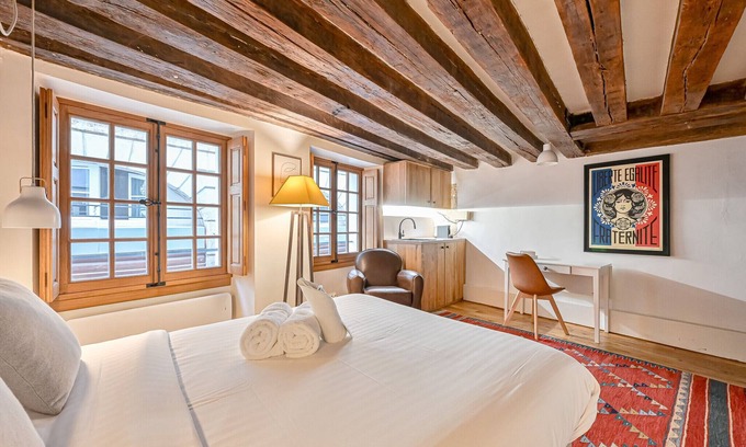 Sorbonne Apartment | Charming Studio Bievre Notre Dame 47