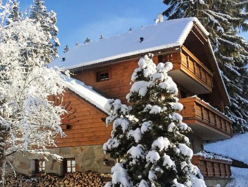 Certov House | Chata Alpina Čertov