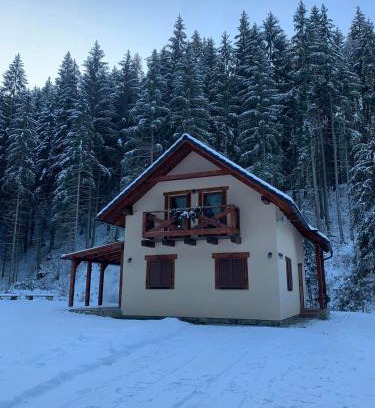 Lazisko Ski Chalet | Chata Mošnica