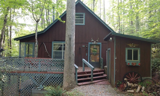 Rabun Gap Cabin | Chestnut Mountain Rustic Cabin Retreat - Dog Friendly!