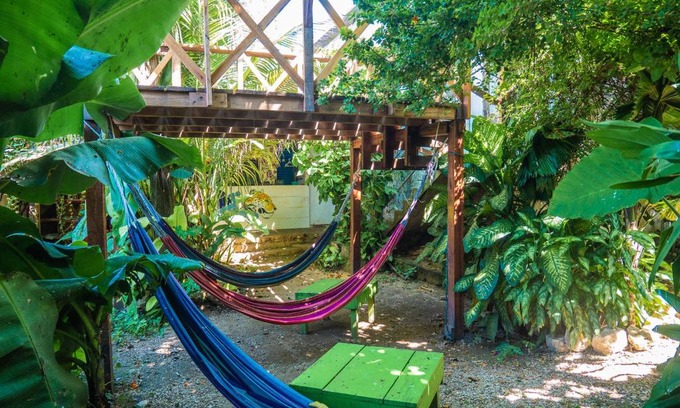 Flores Hostel | Ciao Cacao Hostel & Vegan Cafe