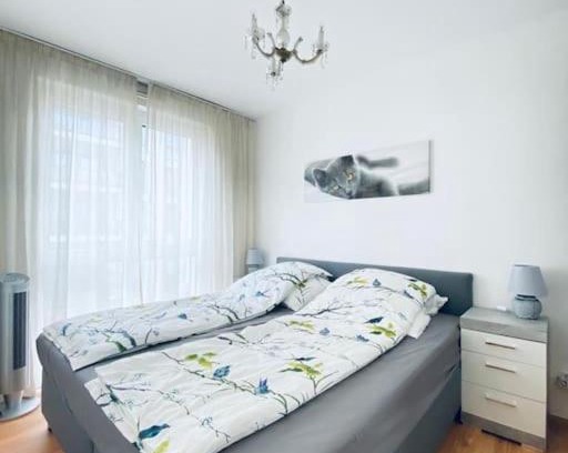 Orangerie Apartment | CityCosy ORANGERIE Strasbourg Appartement 2 pièces en face de parc de L'Orangerie avec un parking souterrain compris