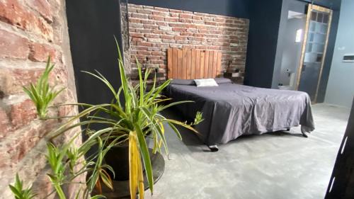 Cruz del Eje Apartment | Claroscuro
