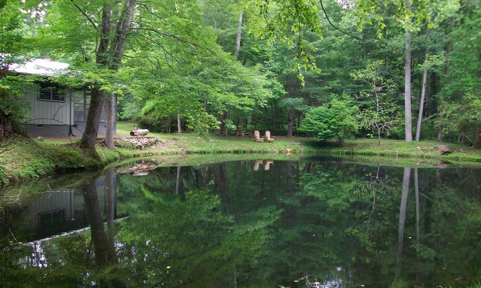 Hayesville Cabin | Clean, Comfortable, Single-Story on Rushing Compass Creek w/Private Swim Pond