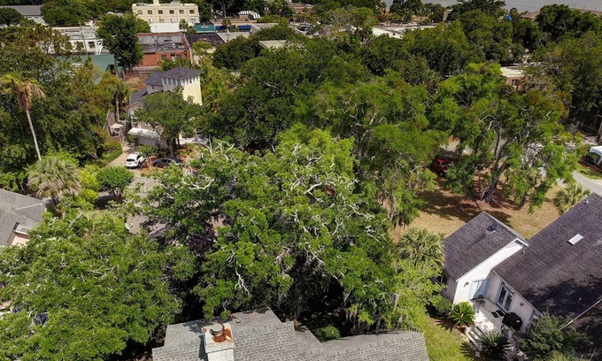 King City House | Close to the Village with an easy walk to restaurants, shops and Pier