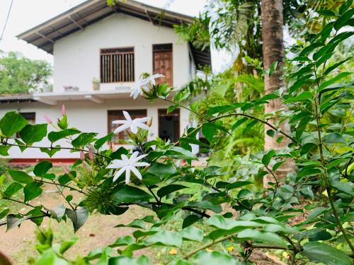 Dodanduwa House | Coastal edge villa