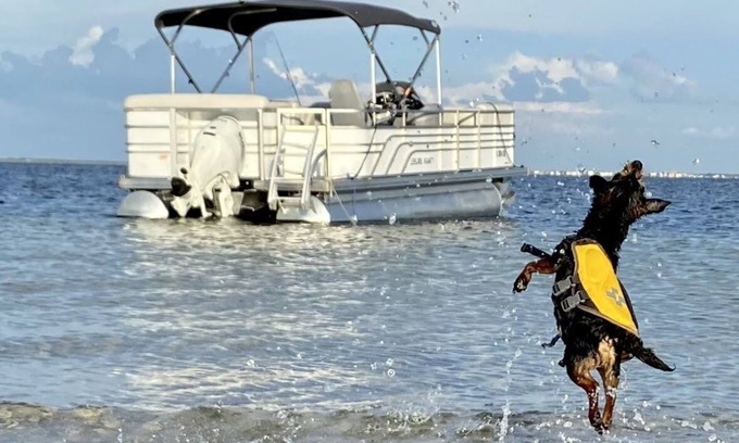 Flor-a-mar House | Coastal Escape Awaits: Enjoy a Complimentary Pontoon Boat Adventure!