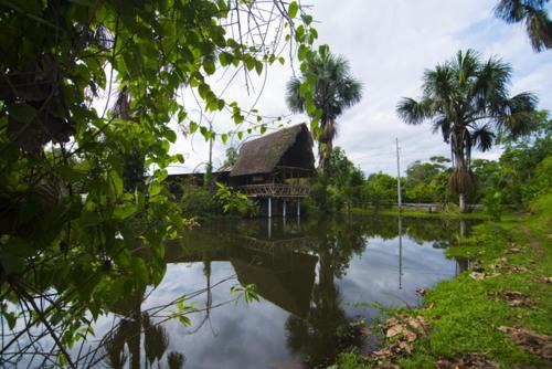 Misahualli Villa | Coatí Lodge Misahuallí - FamiliyJungleParadise