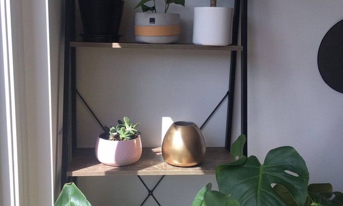 Point Cook House | Coco&Pops little Nest