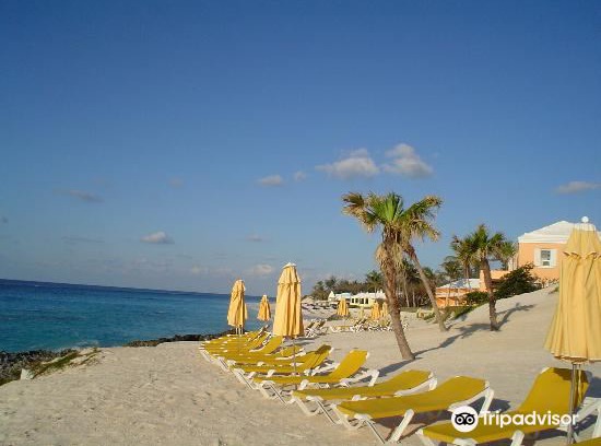 Paget Hotel | Coco Reef Bermuda