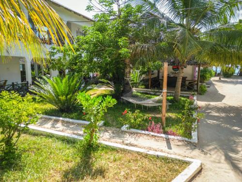 Nungwi Bed & Breakfast | Cocolala Beach House