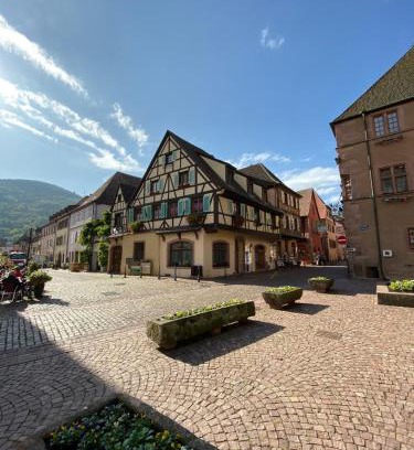 Kaysersberg-Vignoble Apartment | Coeur d'alsace