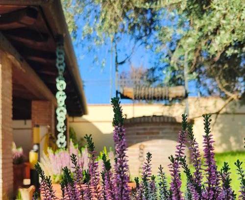 Ferentino Villa | Colibrì - Villa di Charme