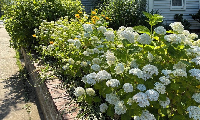 Greenport House | Come stay at The Whitman House a magical gem in the heart of Historic Greenport