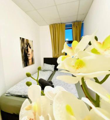 Liesing House | Comfortable Room in the 23rd District of Vienna FR3