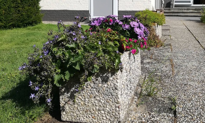 Rhenen Apartment | Comfortable Studio with bathroom and kitchenette