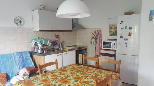 Misano Adriatico House | condominio vite