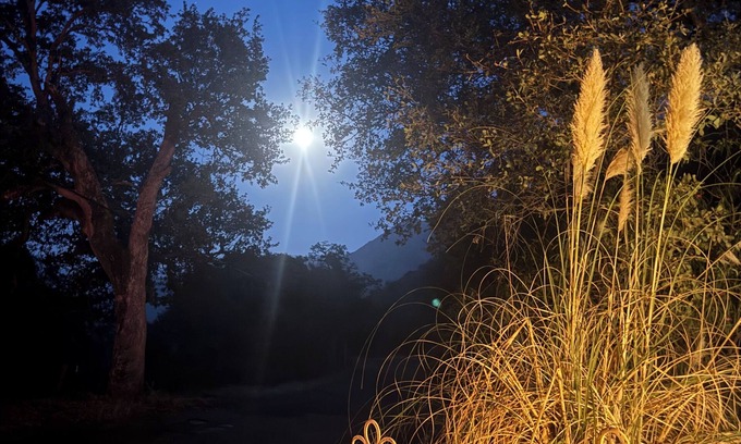 Three Rivers Cabin | Contemporarycabin inthe wilderness ofSequoiaNP Great stargazing.Pets Kiddos Free