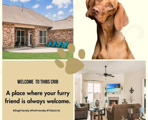 Lake Charles House | Contractor-readypets Ok 2 Kings Fast Wifi