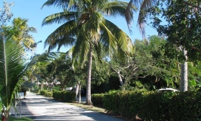 Santa Barbara Estates House | Cool Comfortable 4 BR/2 BA 7mins Walk to Beach, Hot Tub, Restr, Bars Golfing etc