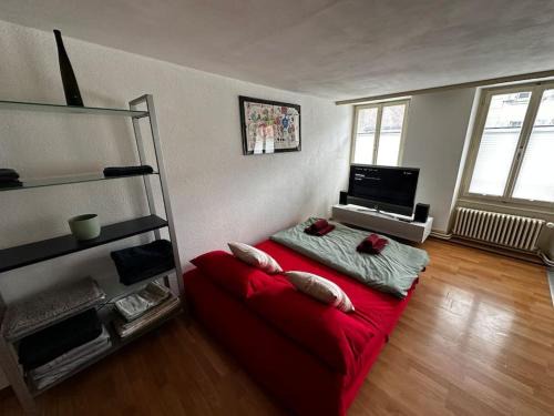 Fribourg Apartment | Cooles Apartment an der Kathedrale