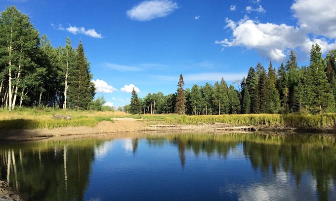 Placerville House | Coors Mountain View! Telluride Private Exclusive Luxury 7 Bed 7 Bath Ranch