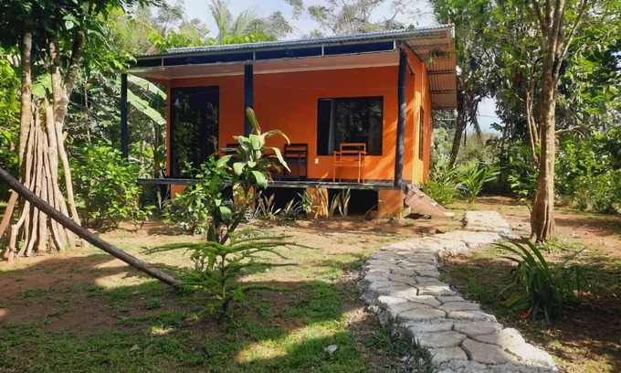 Los Planes Cabin | corcovado green parrot