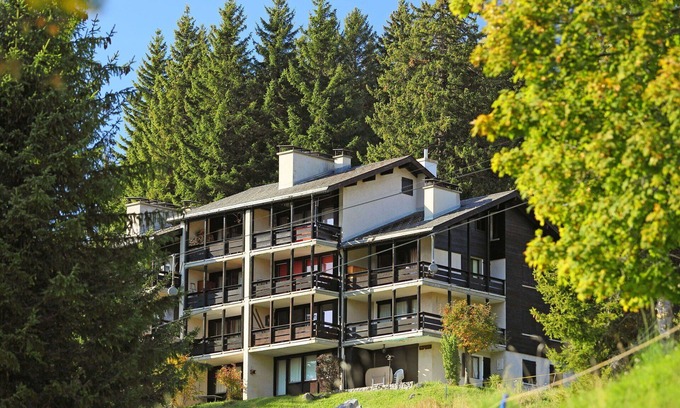 Gryon Apartment | Cosy apartment for 4 guests with WIFI, TV, balcony and pets allowed