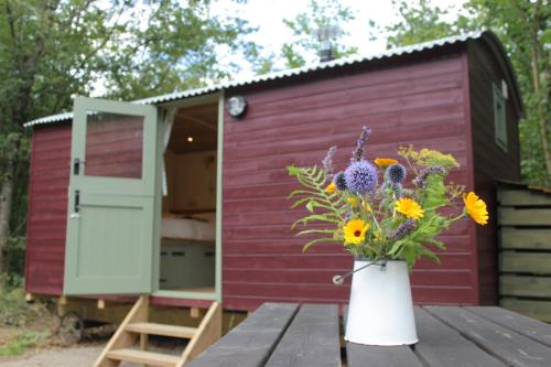 Acton Scott House | Cosy Shepherd's Hut with Hot Tub