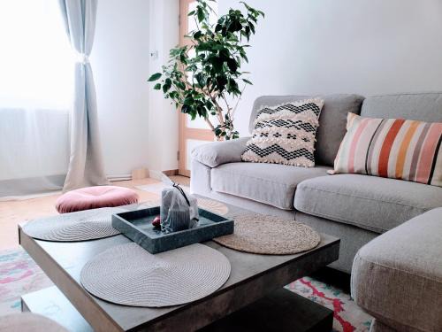 Tirgu Mures Apartment | Cosy Studio-House with Terrace