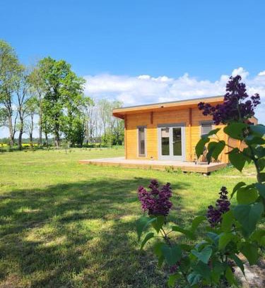 Birzgale House | Cottage in Nature, free sauna, free breakfast