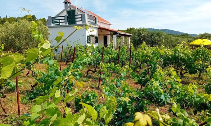 Vela Luka House | Cottage the Quiet
