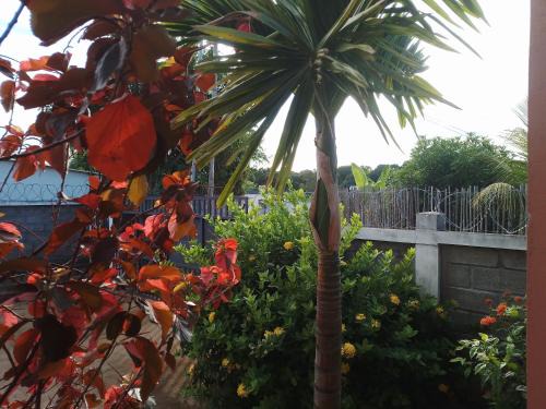 Analavory Apartment | Couleur Café