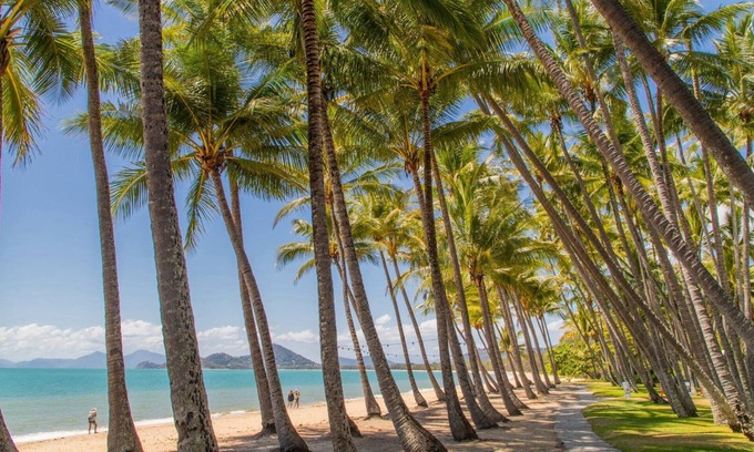 Palm Cove House | COVE HIDEAWAY @ PALM COVE