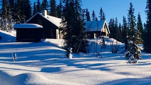 Nord-Torpa House | Cozy And Modern Mountain Cabin In Synnfjellet