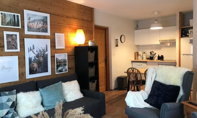 Samoens Apartment | Cozy and spacious apartment 4/6 pers. Skiing, swimming pool & sauna in Samoens