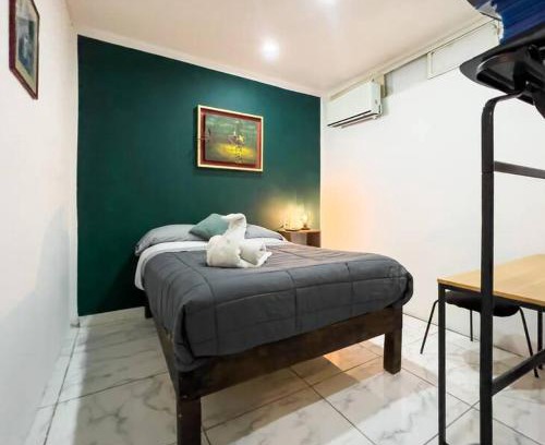 San Luis Potosi Apartment | Cozy Apartment 10 min from downtown