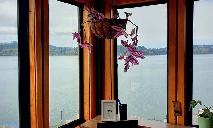 Castro Apartment | Cozy apartment, 5 min walk to the waterfront, port, downtown, restaurants, bars