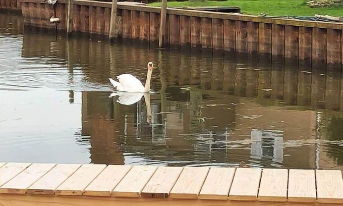 Anchor Bay Harbor House | Cozy Canal Tiny Home | Sleeps 4 | Boat Parking