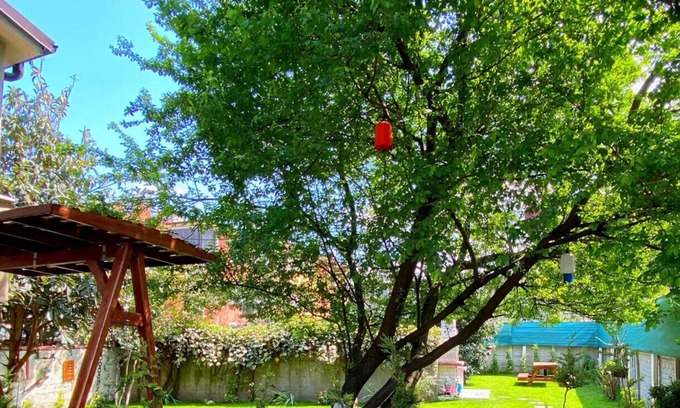 Sapanca Apartment | Cozy Flat with Backyard and Fireplace in Sapanca